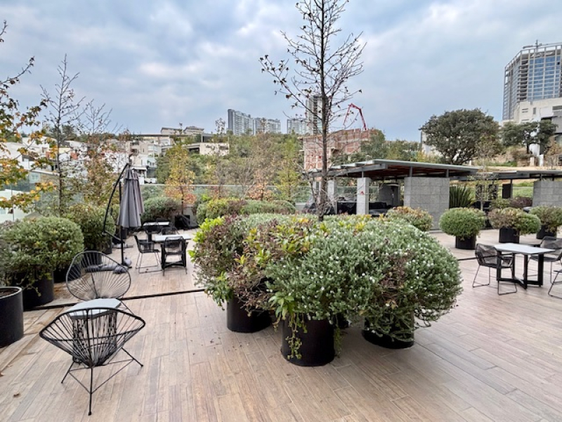 Departamento En Venta En Bosque Real