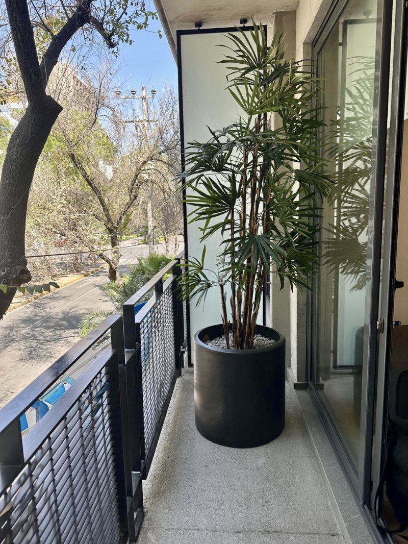 Departamento En Renta En Roma Norte