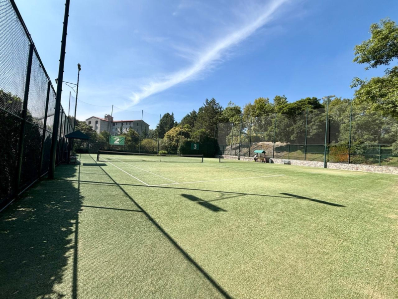 Departamento En Venta O Renta En Frondoso