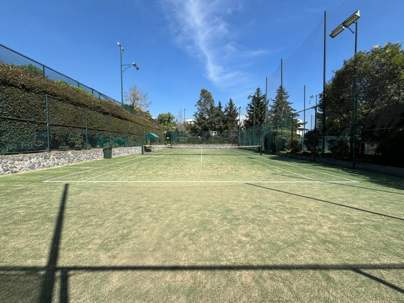 Departamento En Venta O Renta En Frondoso