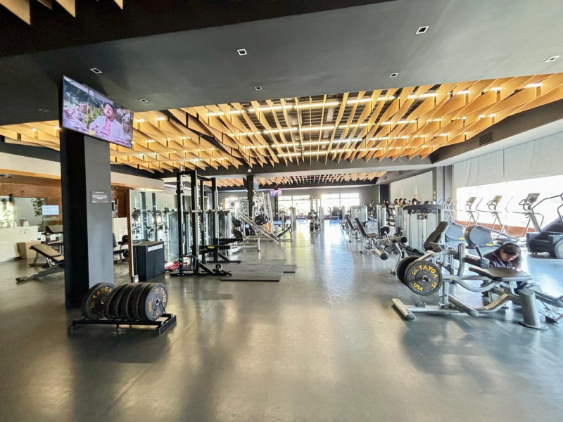 Departamento En Venta O Renta En Frondoso