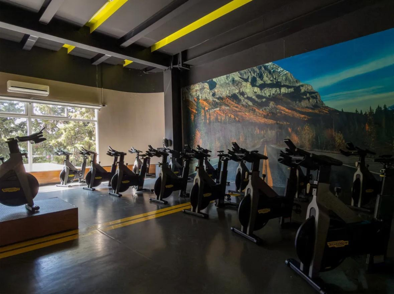 Departamento En Venta O Renta En Frondoso