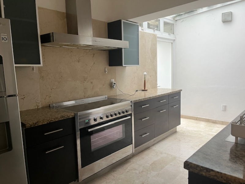 polanco renta hermoso departamento estilo clásico