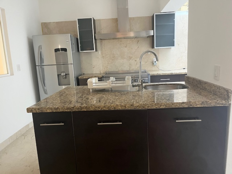 polanco renta hermoso departamento estilo clásico