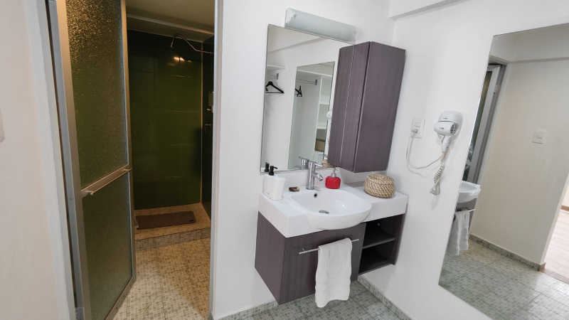departamento en venta en hamburgo col. juarez, miguel hidalgo cdmx