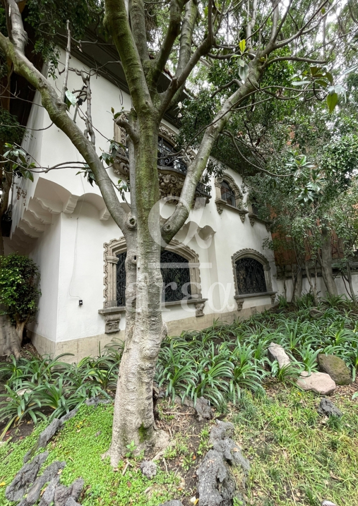 polanco casa de época con uso de suelo oficinas en venta