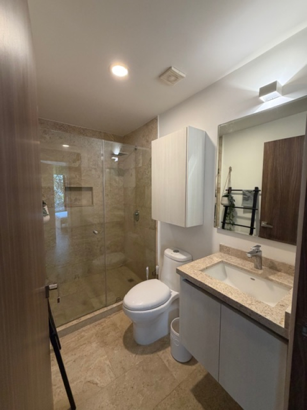 departamento en renta en san pedro de los pinos