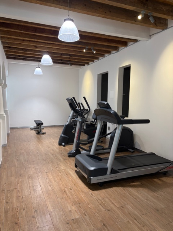 departamento en renta en san pedro de los pinos