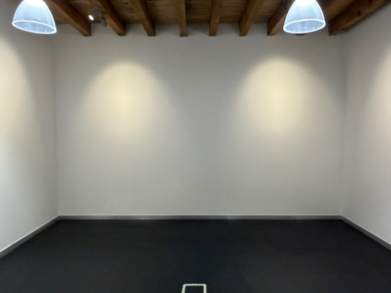 departamento en renta en san pedro de los pinos