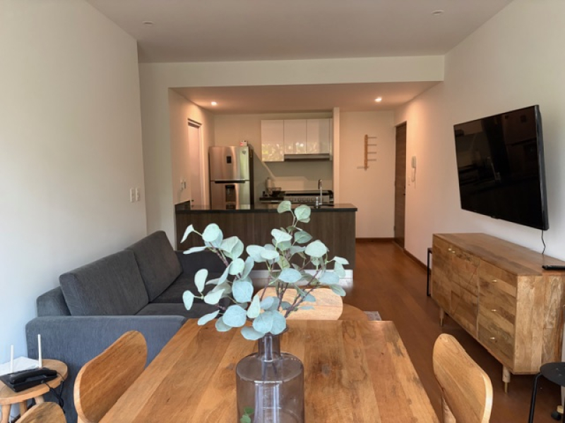 departamento en renta en san pedro de los pinos