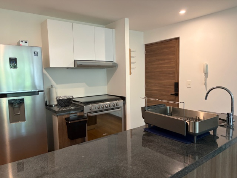 departamento en renta en san pedro de los pinos