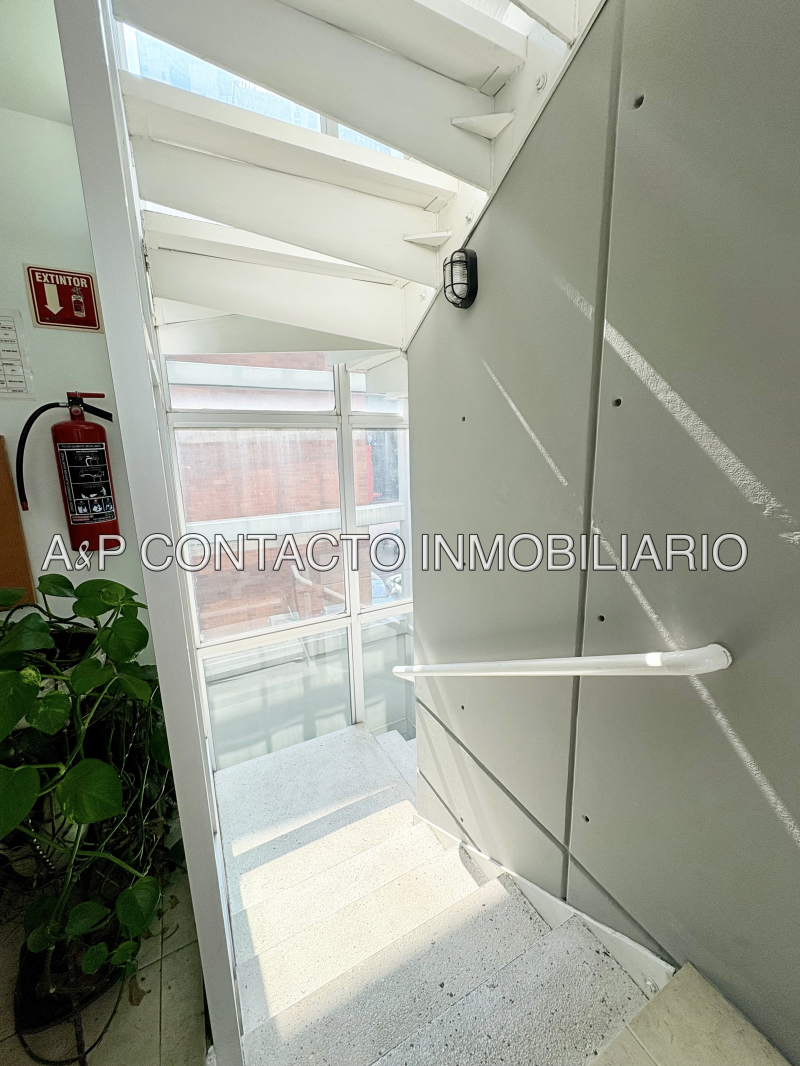 departamento en renta en insurgentes mixcoac