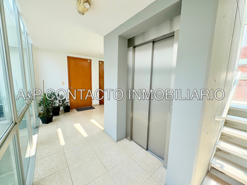 departamento en renta en insurgentes mixcoac