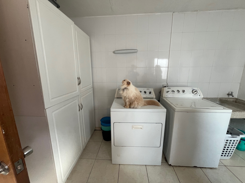 Casa En Renta En Jardín Real Dentro De Coto Zapopan