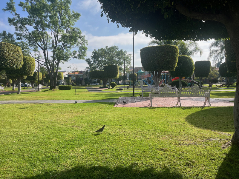 Casa En Renta En Jardín Real Dentro De Coto Zapopan