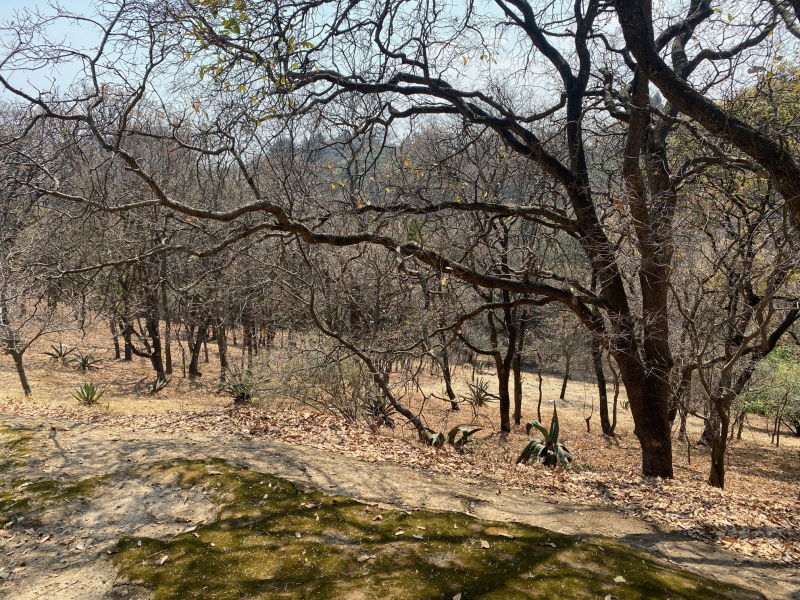 Terreno en venta en Santa Fe â€“ 40,225 mÂ²