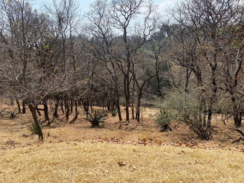 Terreno En Venta En Santa Fe �?? 40,225 M²