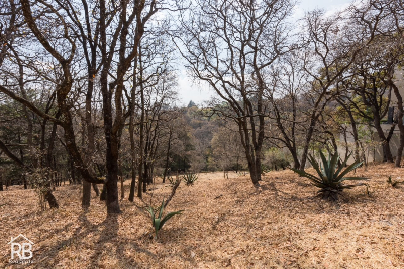 Terreno En Venta En Santa Fe �?? 40,225 M²