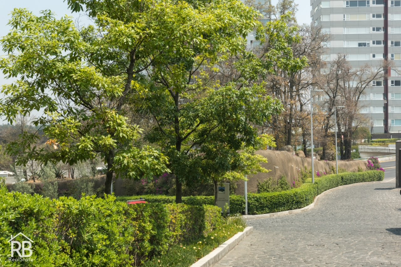 Terreno En Venta En Santa Fe �?? 40,225 M²