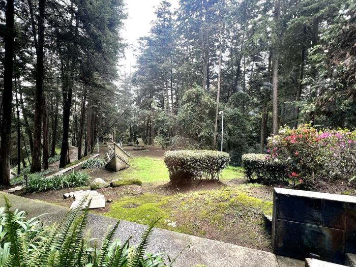 Departamento en venta en Bosque 6060 en olivar de los padres en Álvaro Obregón.