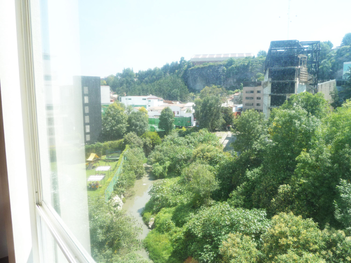 Departamento en Renta en Palo Solo