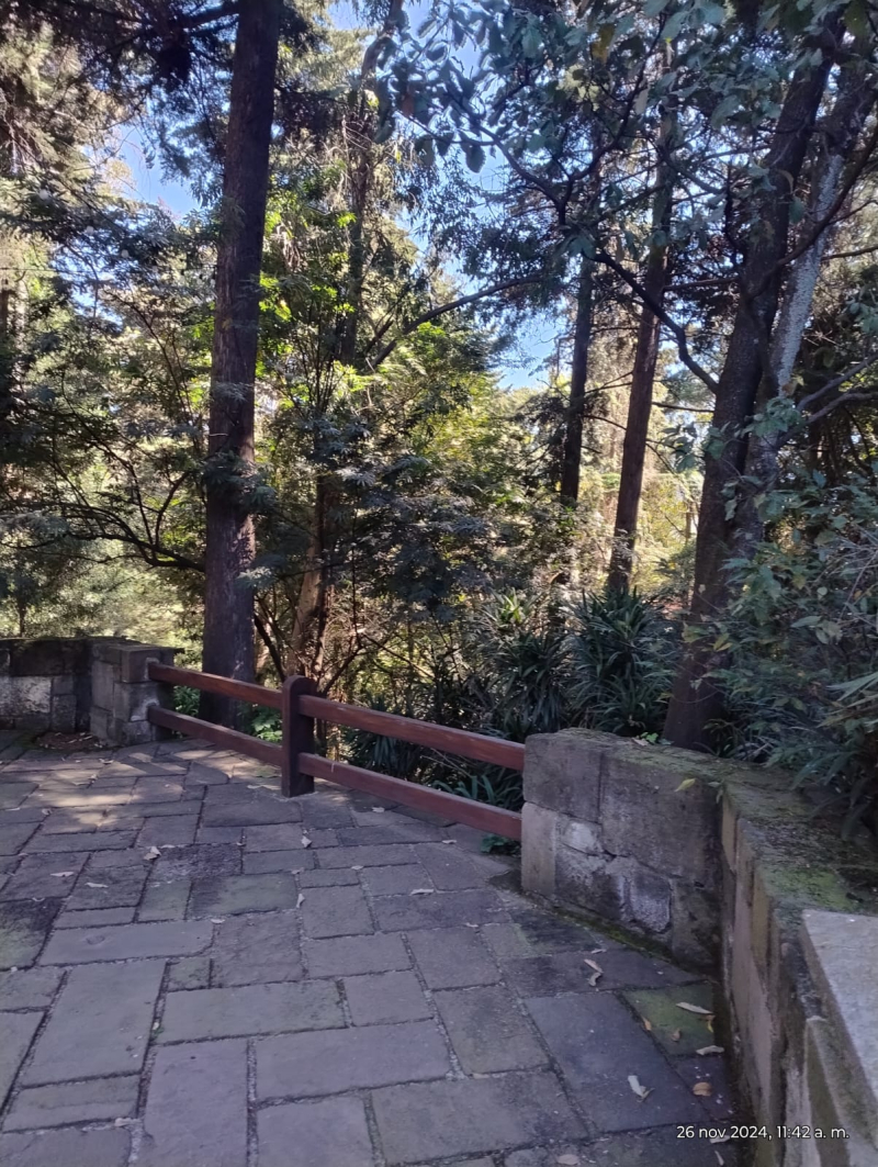 V E N T A Departamento 3 Recamaras En Bosque 6060