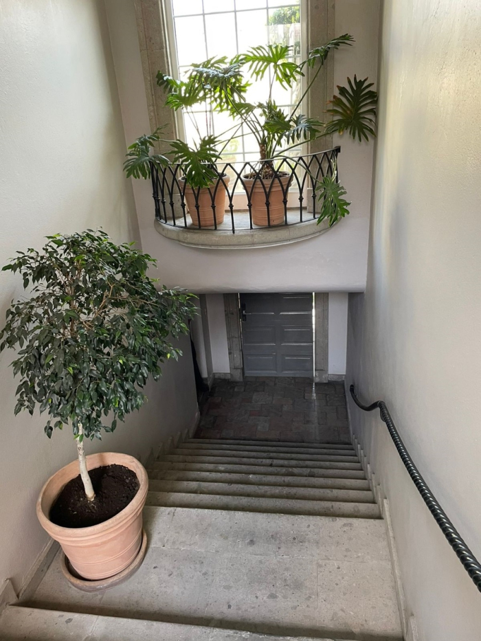 Tecamachalco, Av De Los Bosques. Venta Casa Con Jardín $14,000,000 MN