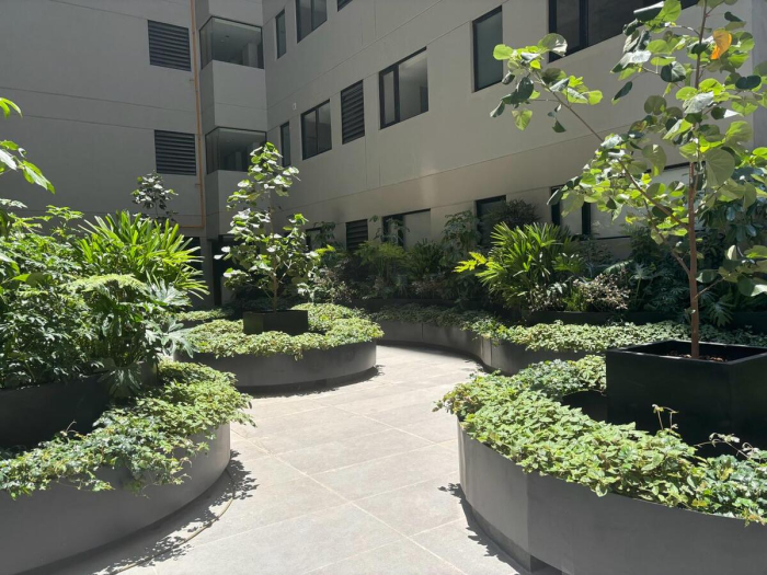 departamento venta el olivo nova