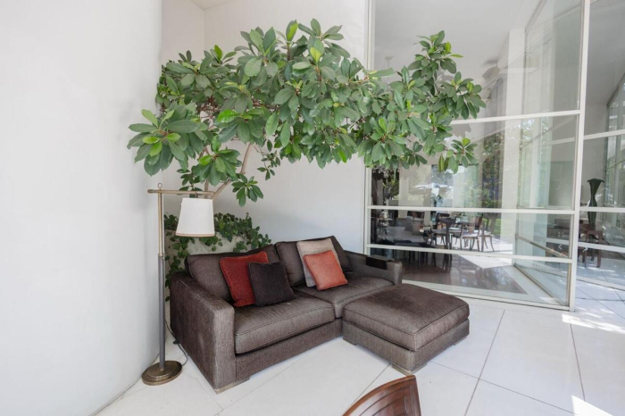 renta casa lomas altas