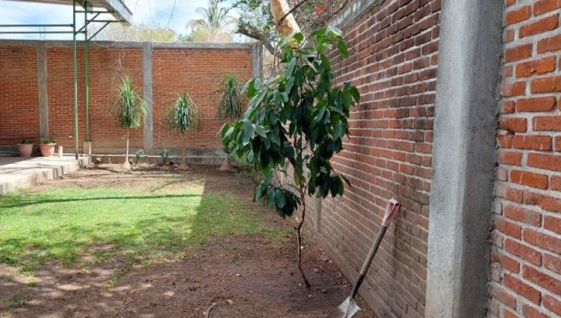 Terreno En Venta En Amacuitlapilco 