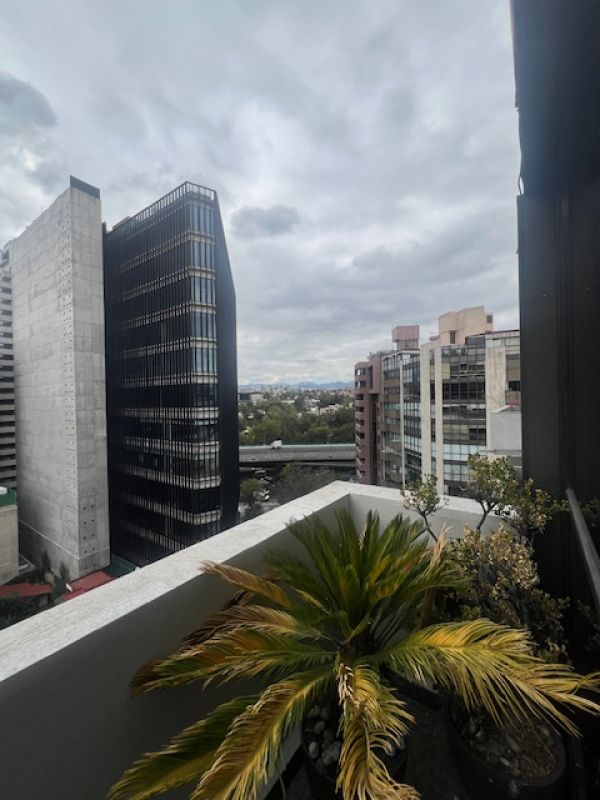 Departamento en Renta en Polanco