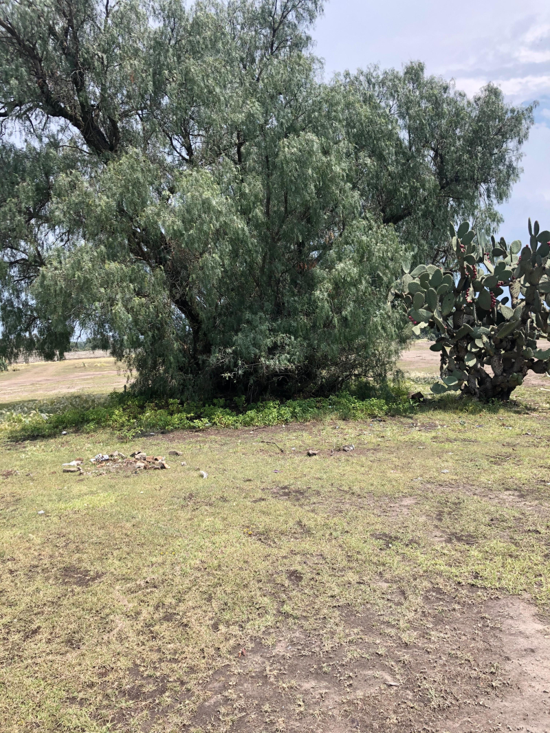 Terreno En Venta En El Cid 