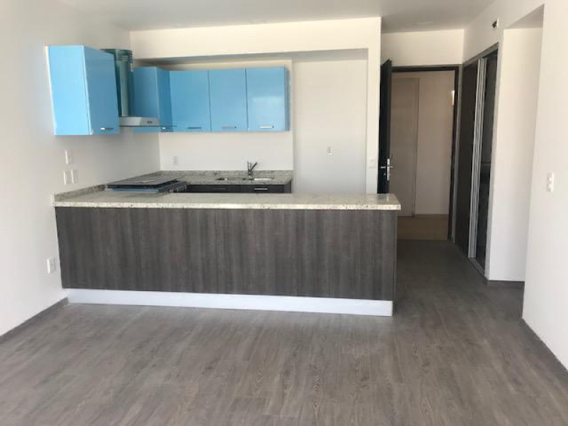 Toluca Departamento En Renta En La Merced  (Alameda)