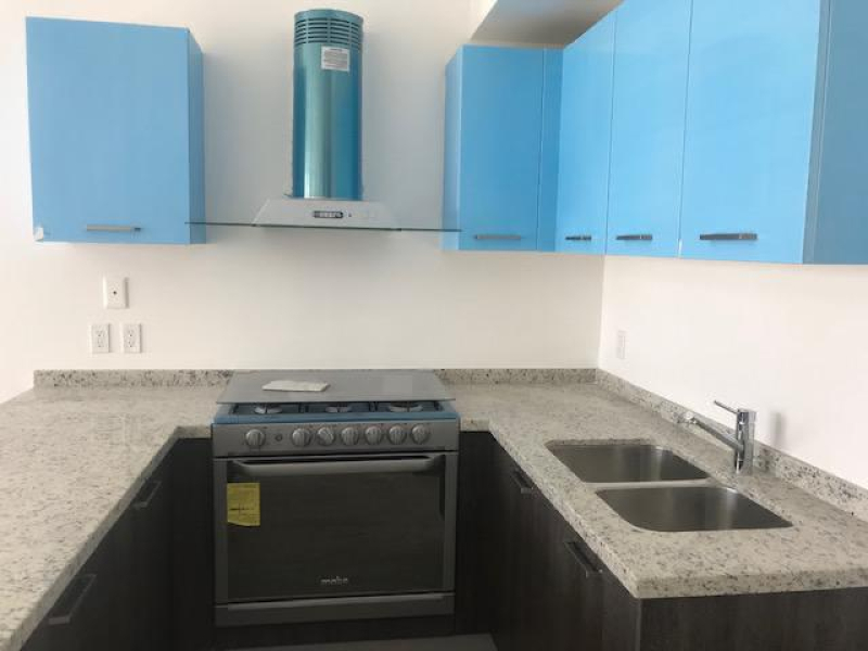 Toluca Departamento En Renta En La Merced  (Alameda)