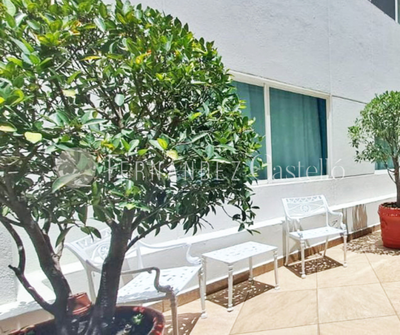 RENTA DEPARTAMENTO AMUEBLADO, FRONTERA, ROMA NORTE.