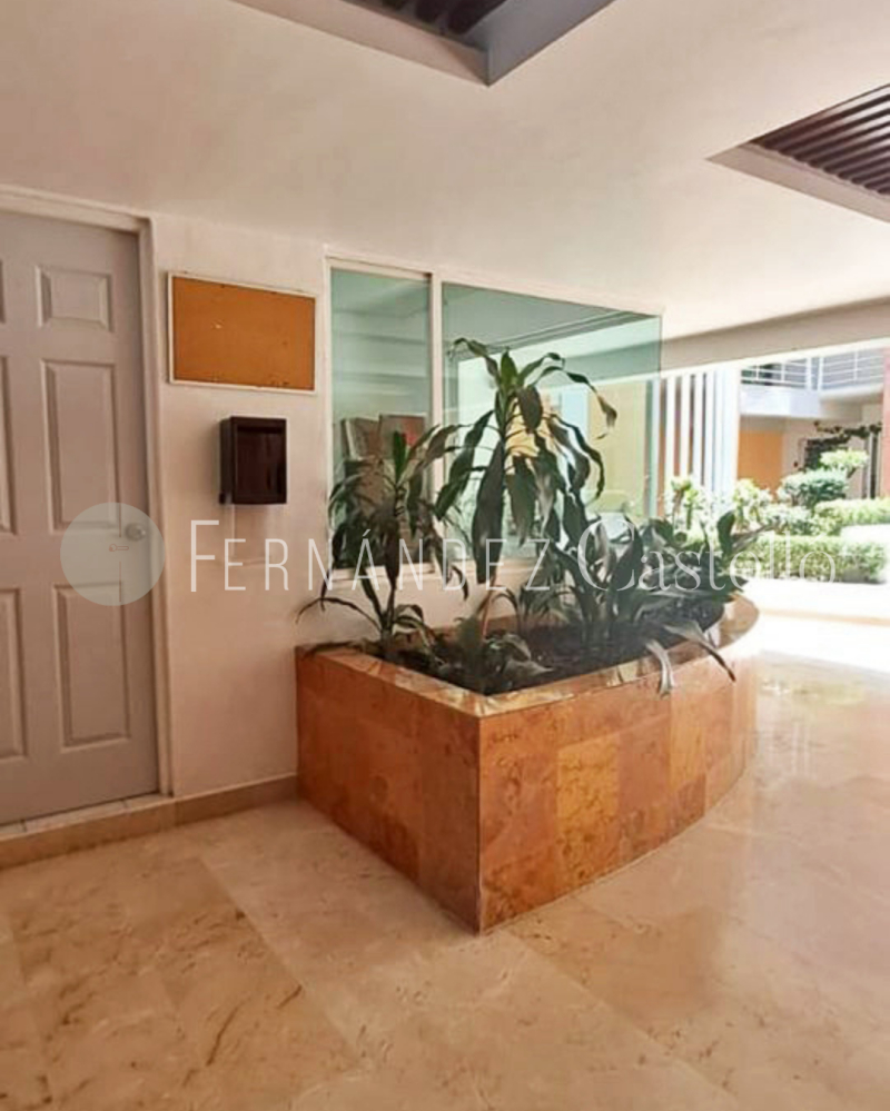 RENTA DEPARTAMENTO AMUEBLADO, FRONTERA, ROMA NORTE.