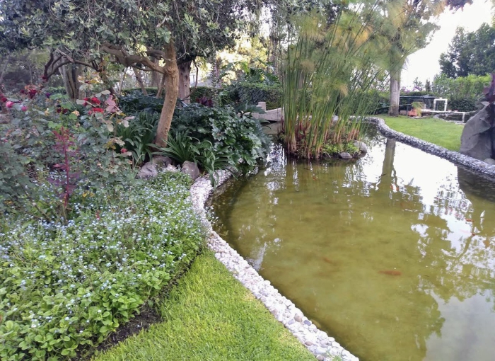 bonito departamento en frondoso 1