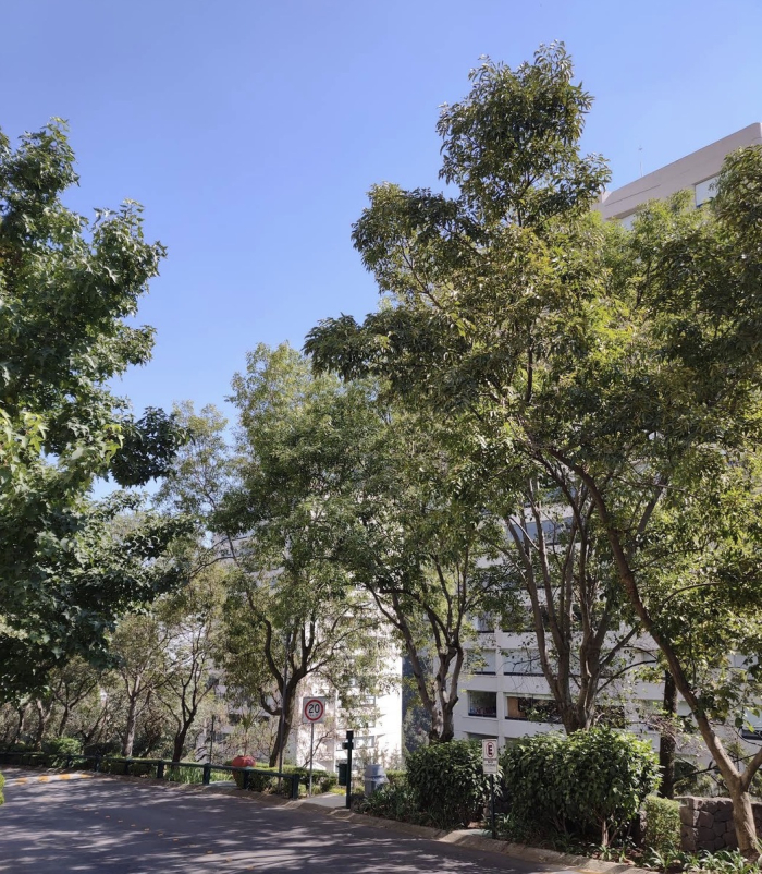 bonito departamento en frondoso 1