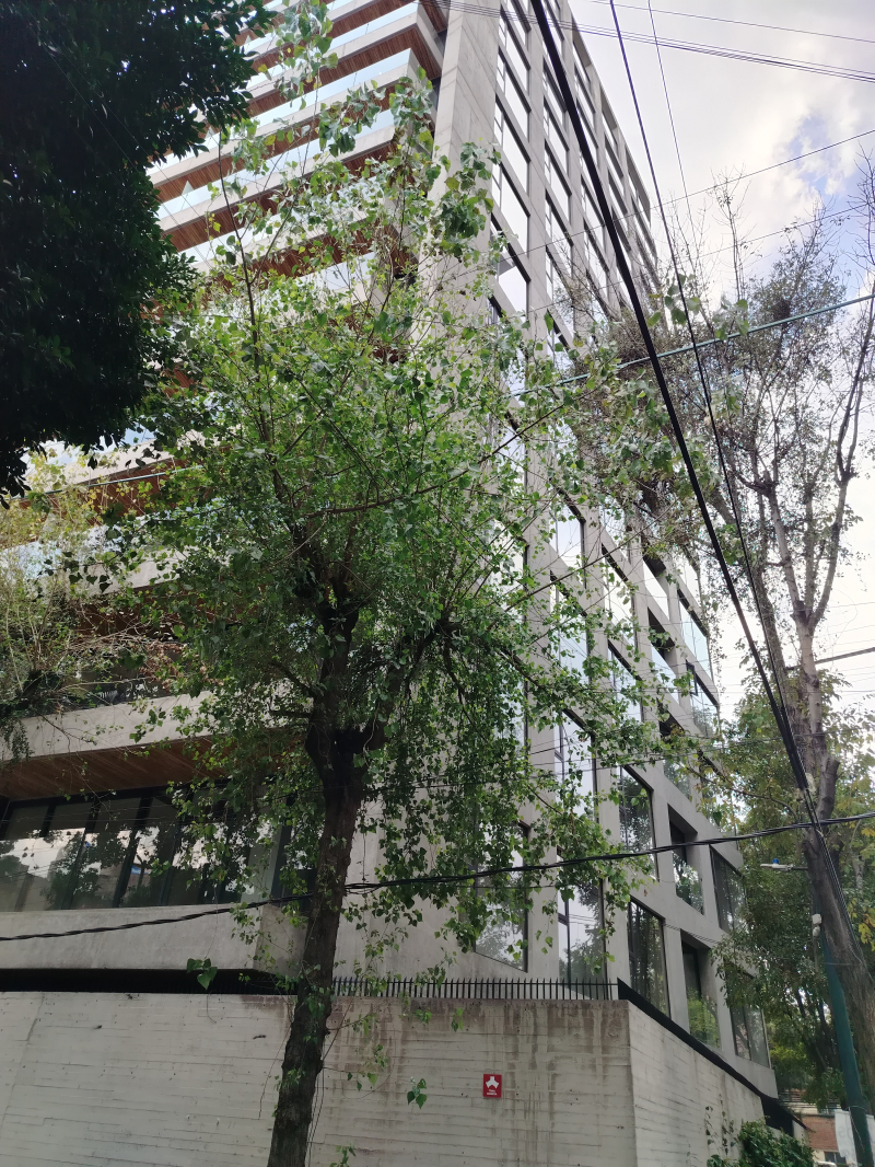 Departamento en Renta en Granada