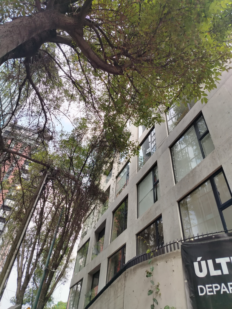 Departamento En Renta En Granada