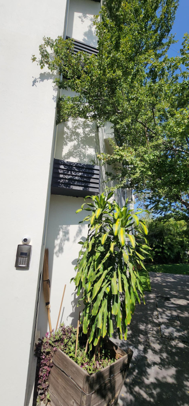 Departamento En Venta En Loma Blanca 