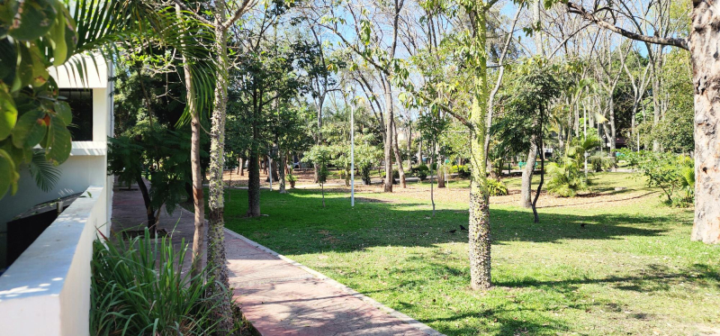 Departamento En Venta En Loma Blanca 