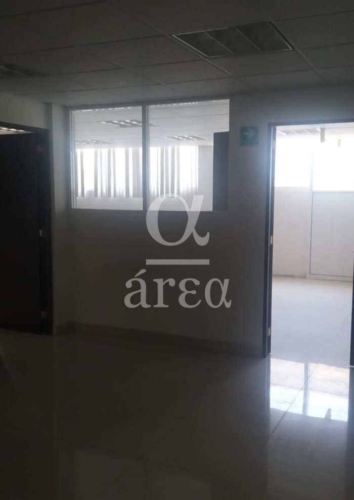 bodega con oficinas y seguridad en renta en alce blanco