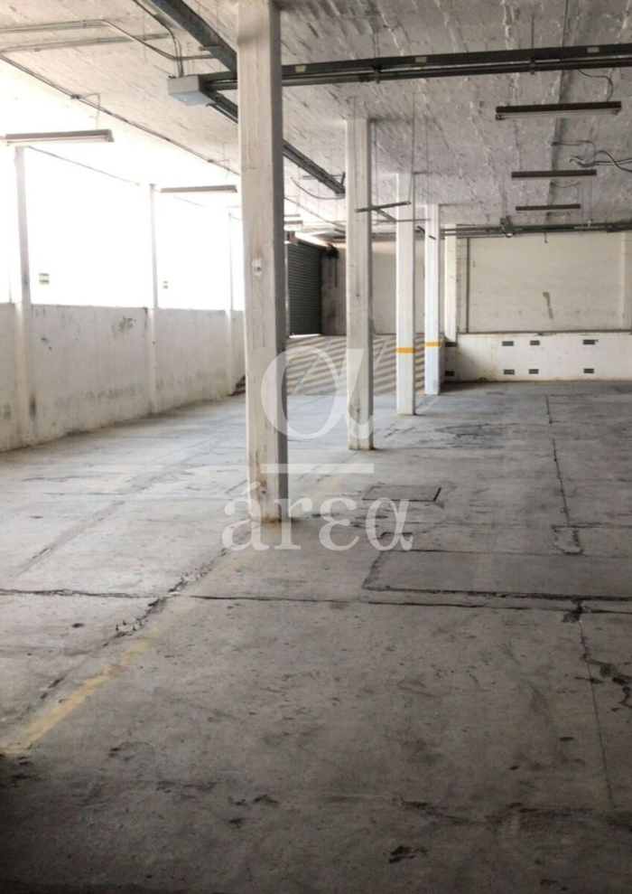 bodega con oficinas y seguridad en renta en alce blanco