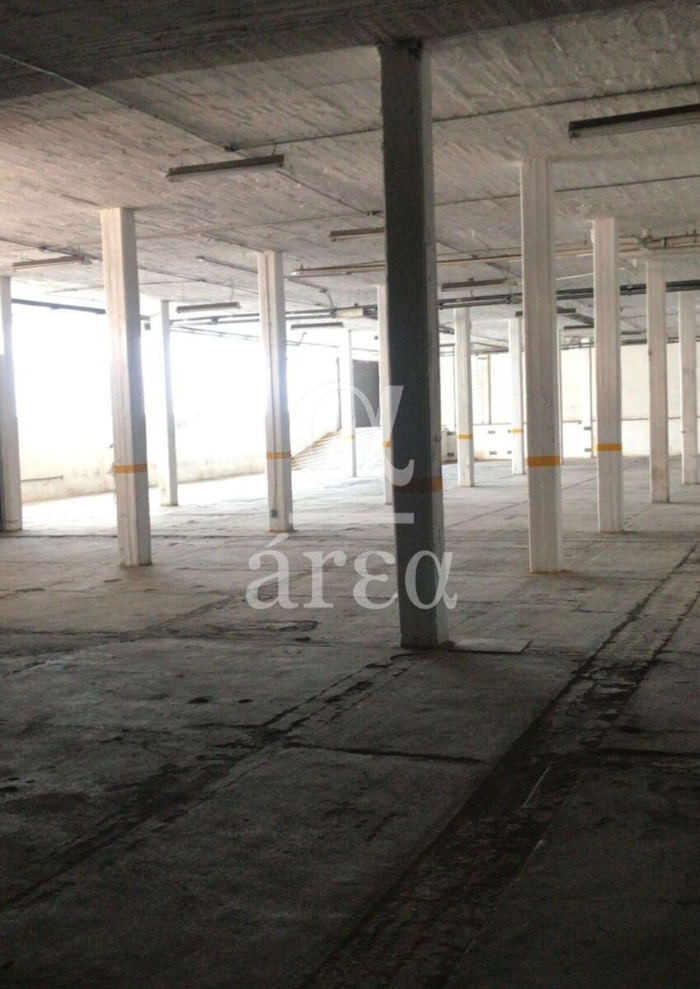bodega con oficinas y seguridad en renta en alce blanco