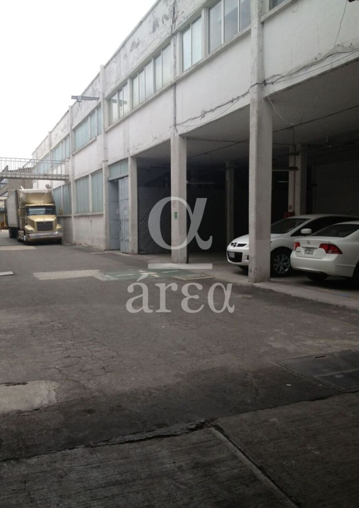 bodega con oficinas y seguridad en renta en alce blanco