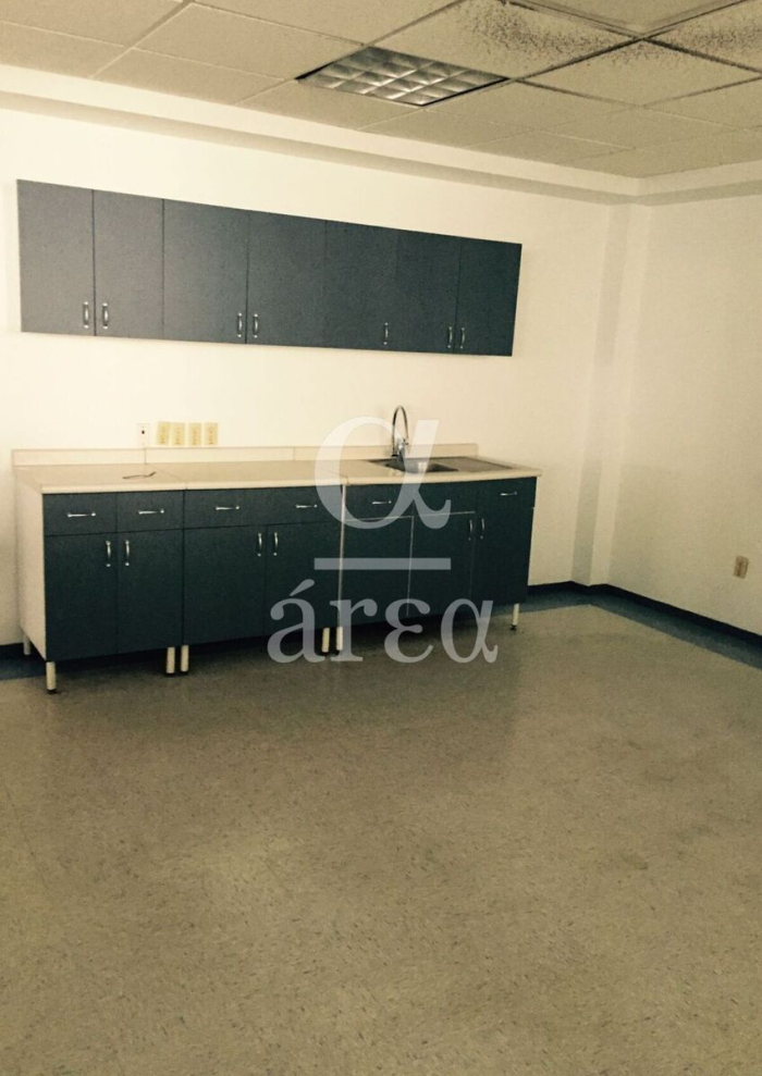 bodega con oficinas y seguridad en renta en alce blanco