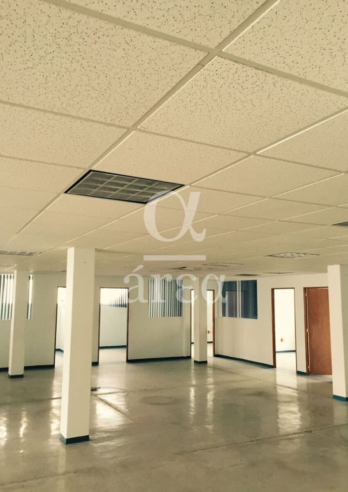 bodega con oficinas y seguridad en renta en alce blanco