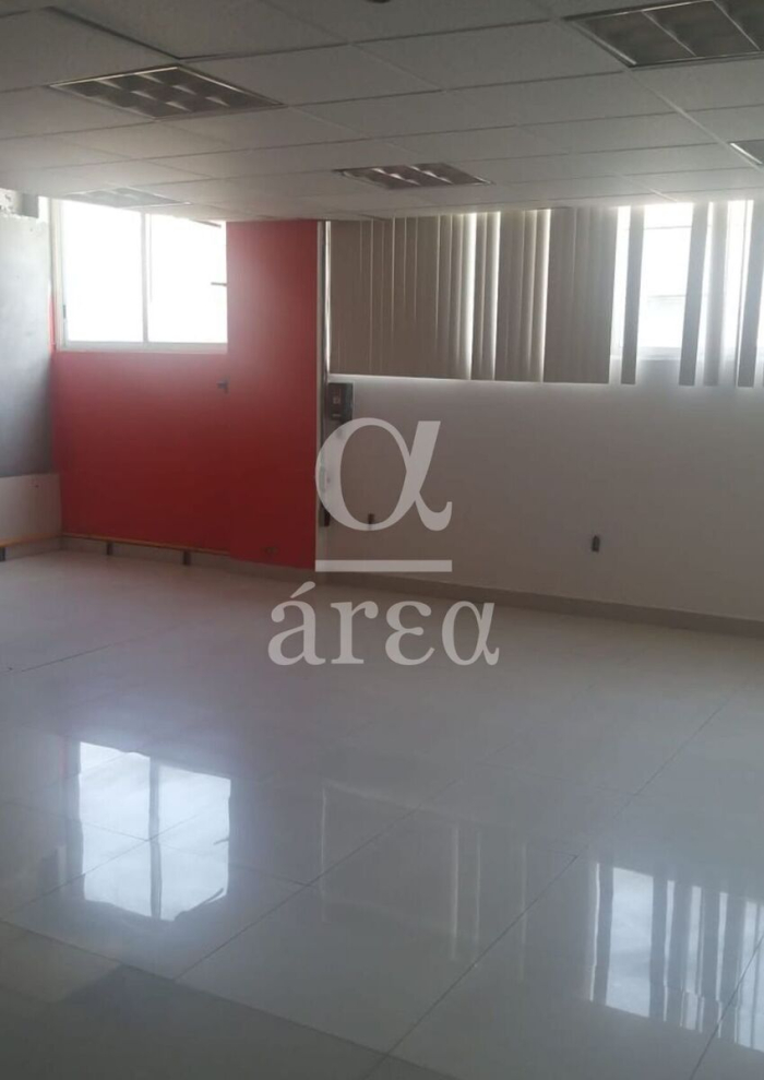 bodega con oficinas y seguridad en renta en alce blanco