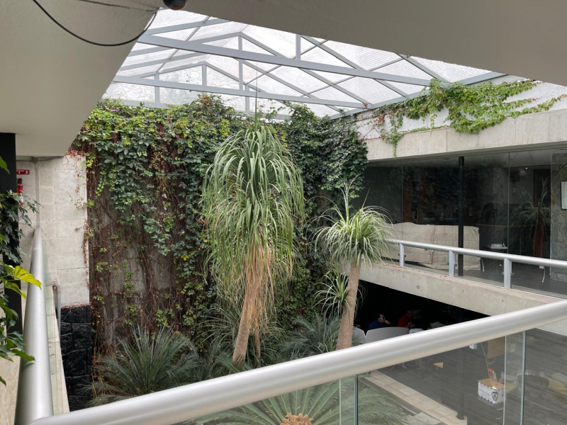 Casa Con Uso Comercial En Venta O Renta Sobre Avenida Reforma